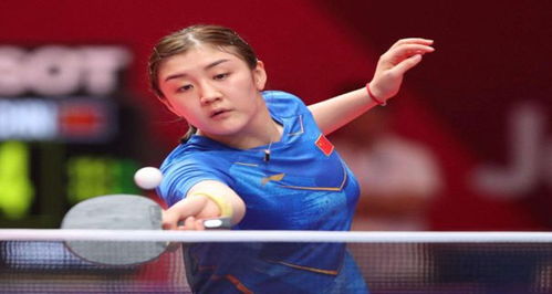 会让球迷与 会让球迷与